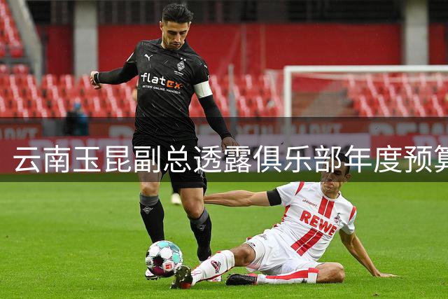 云南玉昆副总透露俱乐部年度预算 今年投入将突破2亿元