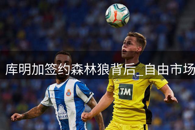 库明加签约森林狼背后 自由市场还有哪些遗珠？